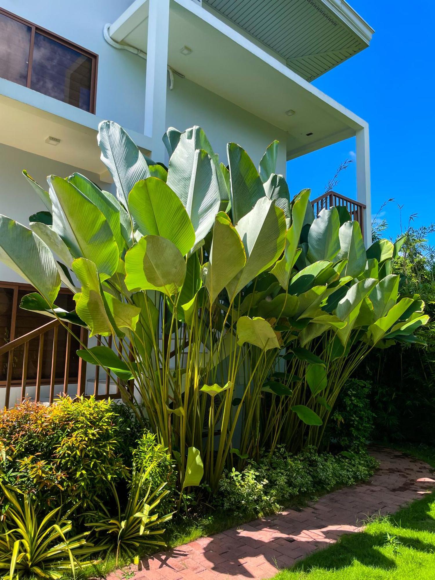 Red Picnic Hostel Panglao City Exterior foto