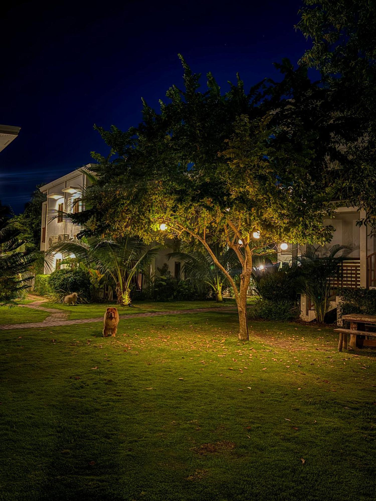 Red Picnic Hostel Panglao City Exterior foto
